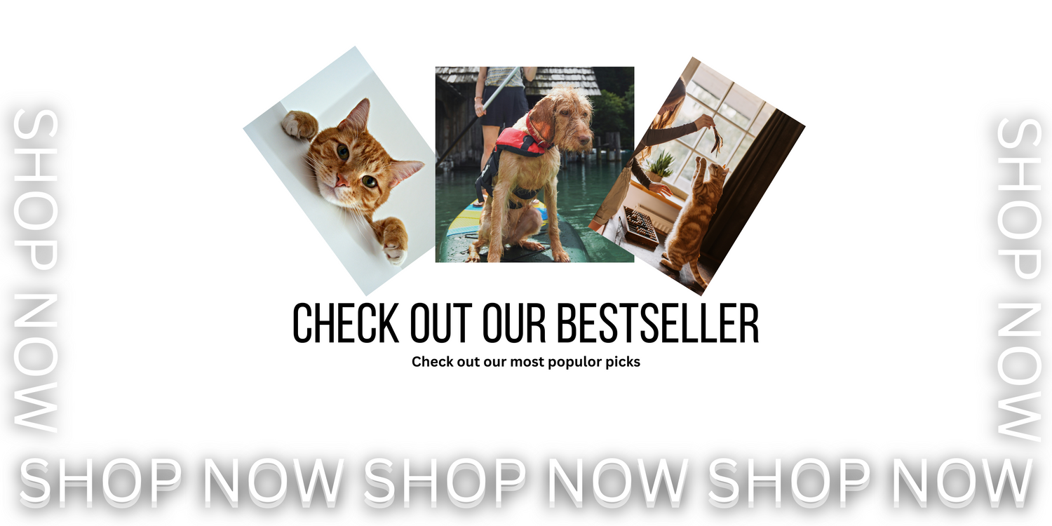 BEST SELLERS COLLECTION