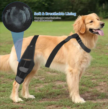 Dog Leg Brace Bundle