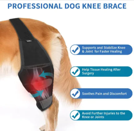 Dog Leg Brace Bundle
