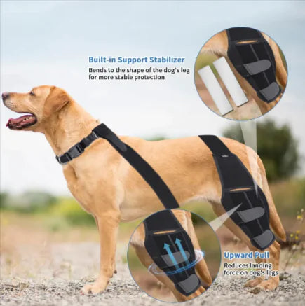 Dog Leg Brace Bundle